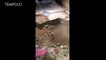 Video Viral Air Panas Keluar dari Bawah Lantai Rumah di Bekasi Bikin Heboh