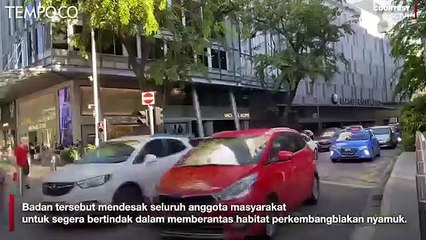 Kasus Demam Berdarah di Singapura Terus Meningkat, Tertinggi 10 Tahun Terakhir