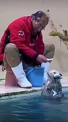 El cuidador de un zoológico está jugando con una linda nutria