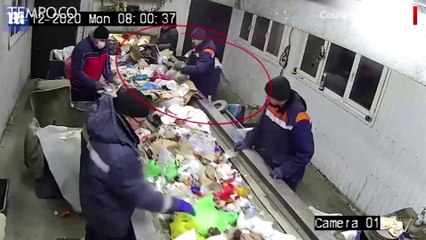 Nyaris Tergiling Penghancur Sampah, Kucing Ini Diselamatkan Pekerja