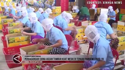 Perdagangan Cina-ASEAN Meningkat 6,6 Persen di Tengah Pandemi