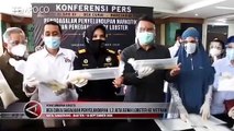 Bea Cukai Gagalkan Penyelundupan 1.2 Juta Benih Lobster ke Vietnam