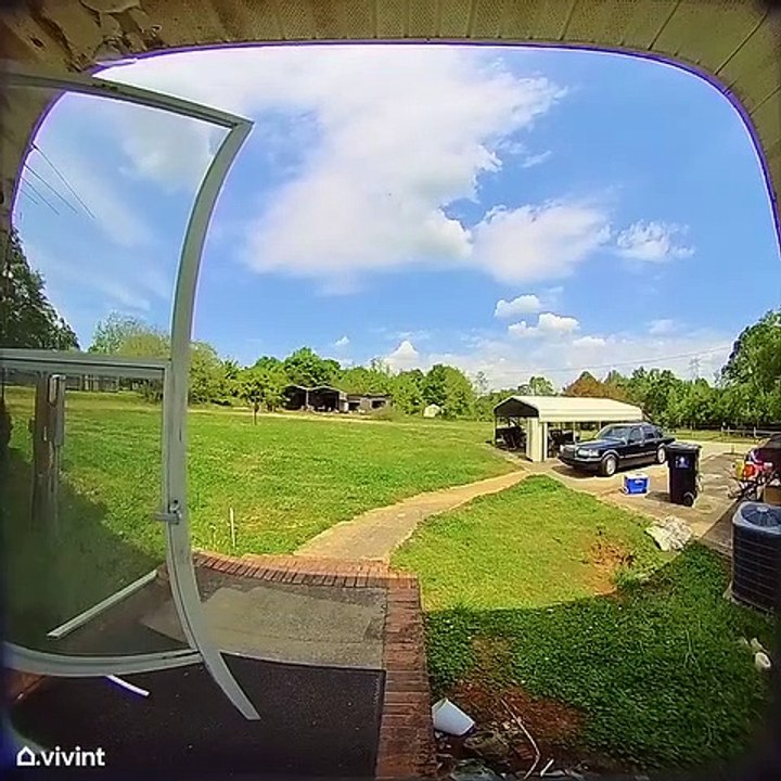Daughter Trips Climbing Stairs to Front Door