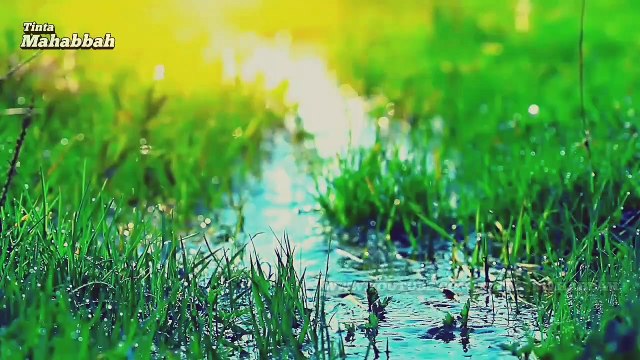 KEMUNCULAN IMAM MAHDI - HADITS TENTANG IMAM MAHDI - WALI ALLAH AKHIR ZAMAN