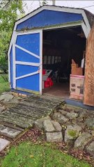 Squirrel Squatters Get Evicted