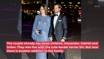 Prince Carl Philip and Princess Sofia Have A Surprising Family Addition!