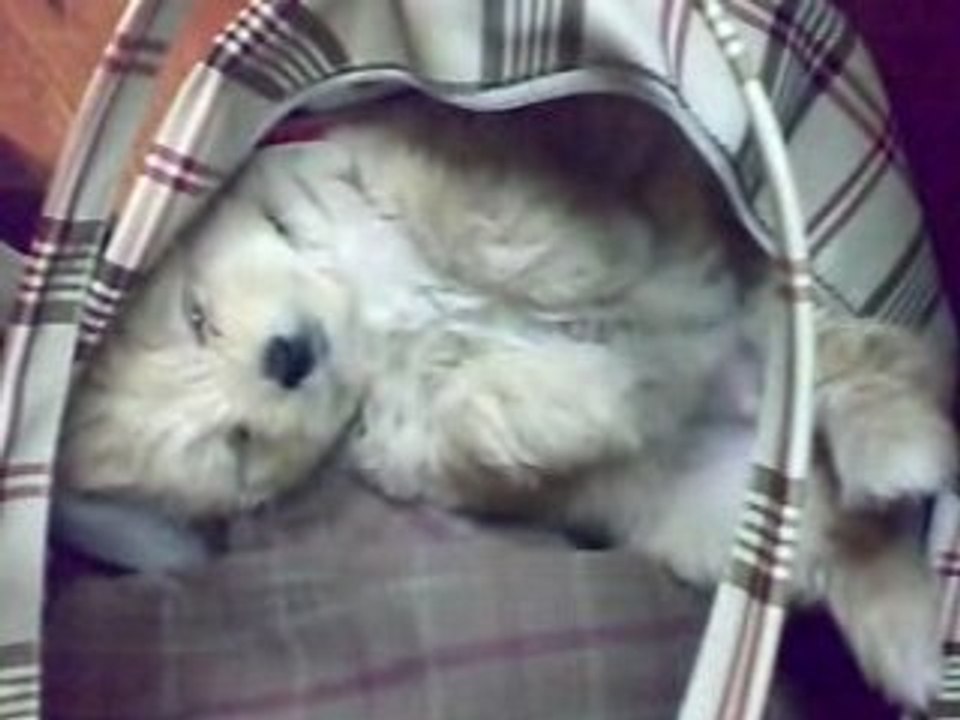 13032008032