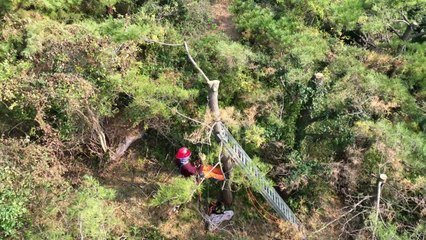 원칙 없는 '오름 조망권' 정비 사업 논란 / YTN