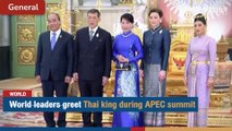 World leaders greet Thai king during APEC summit | The Nation