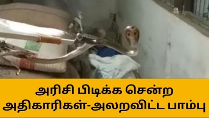ரேசன் அரிசி பதுக்கல்-அதிகாரிகளை அலறவிட்ட நல்ல பாம்பு