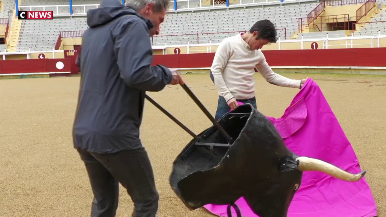 Corrida : le débat fait rage entre les défenseurs et les opposants