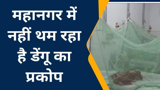 झाँसी : महानगर में नहीं थम रहा है डेंगू का प्रकोप, डेंगू के 6 नए मरीज और मिले