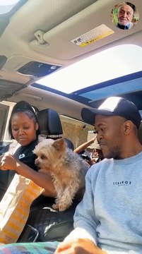 Битва за чизбургер ещё никогда не была такой жестокой Битва за чизбургер ещё никогда не была такой жестокой / The battle for the cheeseburger has never been so fierce