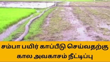 Télécharger la video: விழுப்புரம்: சம்பா பயிர் காப்பீடு செய்வதற்கு கால அவகாசம் நீட்டிப்பு