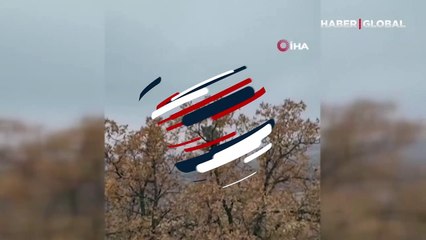 Tunceli’de görüntülendi! Dünyada birinci derece koruma altında bulunuyor