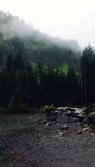 10 Hour Rain  Ultimate Relief,  Sleep, Meditation,.rainfall natural biffty naturallyworldwide