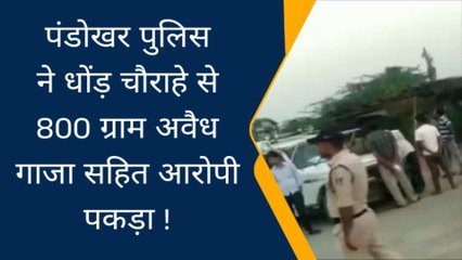दतिया: पंडोखर पुलिस ने अवैध गांजा सहित आरोपी को धर दबोचा,की कार्यवाही