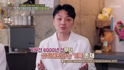 체지방에 축적되지 않고 콜레스테롤 감소에 도움 주는 ‘●●●’ TV CHOSUN 20221119 방송