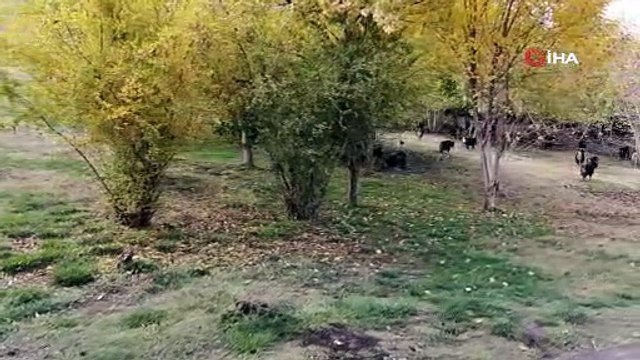 Dünya Miras Listesinde yer alan Diyarbakır'daki 8 bin yıllık Hevsel Bahçeleri