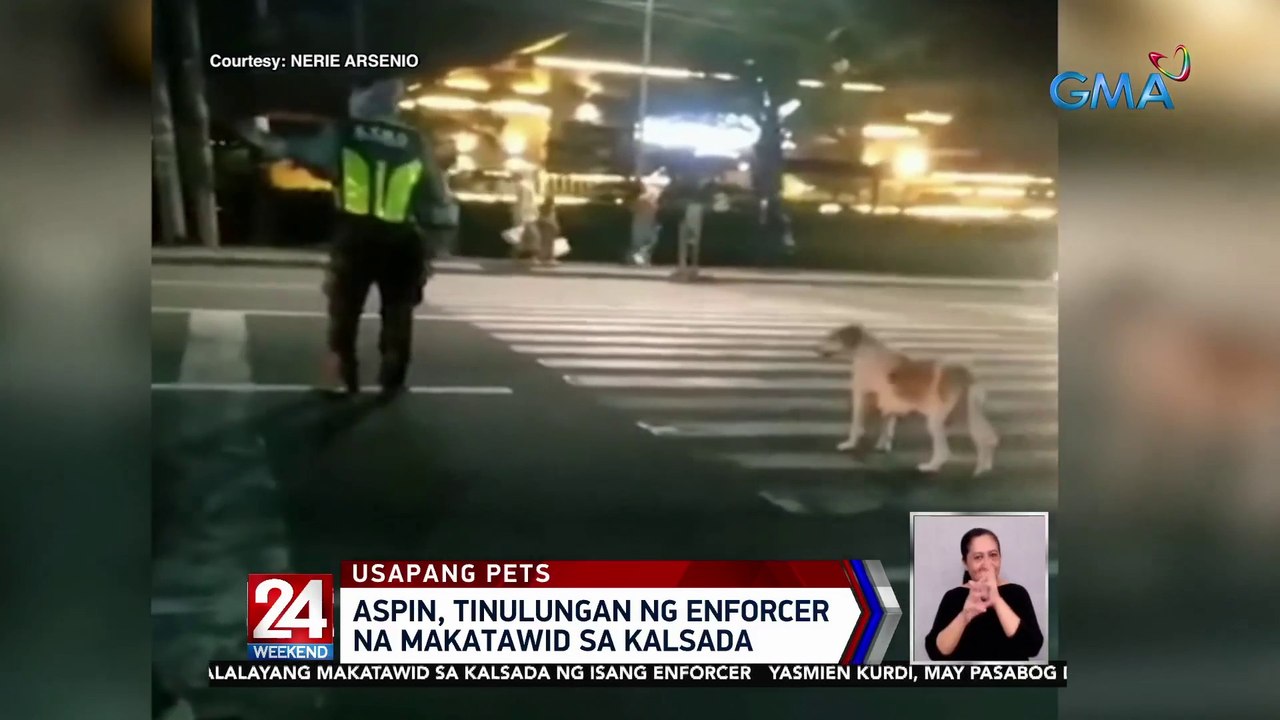 Aspin, tinulungan ng enforcer na makatawid sa kalsada | 24 Oras Weekend ...