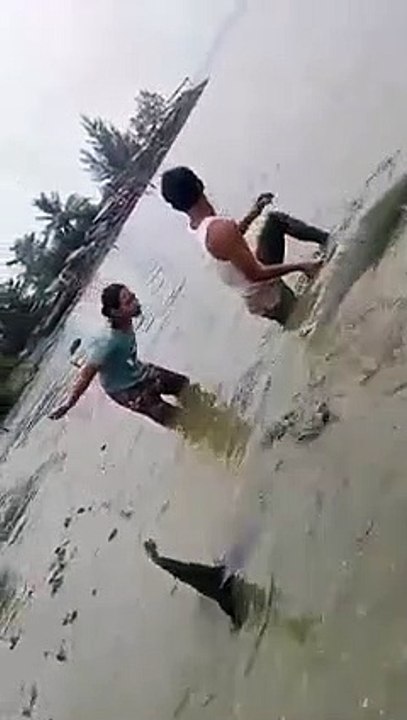 ikan paus terdampar