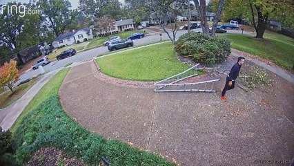 Falling Tree Branch Swings into Ladder