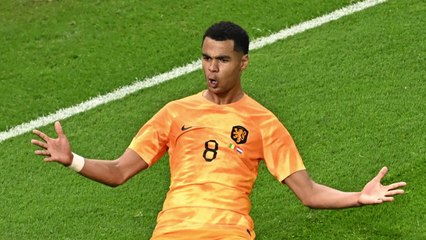 네덜란드, 세네갈 꺾고 카타르 월드컵 첫 승 🎉