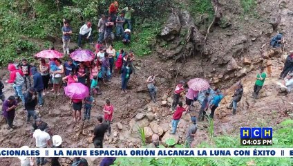 Hondureña muere mientras cortaba café en Lempira