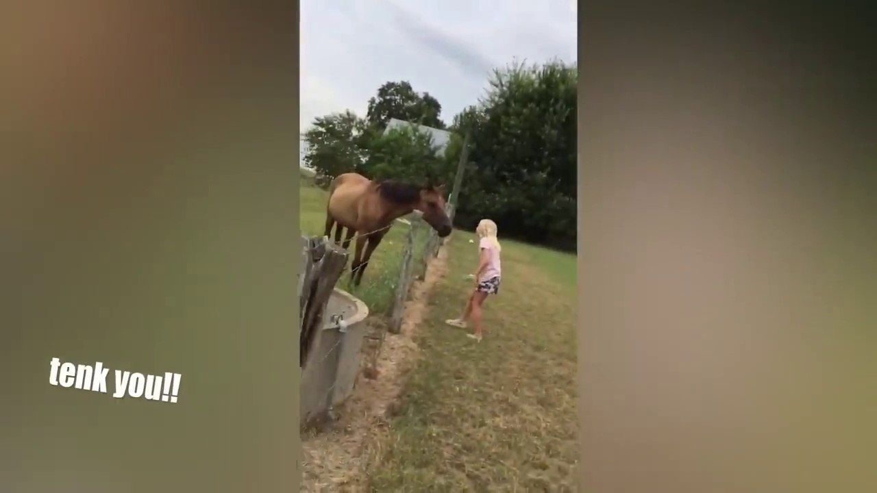 THE BEST CUTE AND FUNNY ANIMAL VIDEOS OF 2022