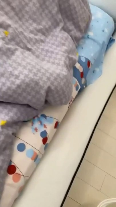 Funny Video Cute cat