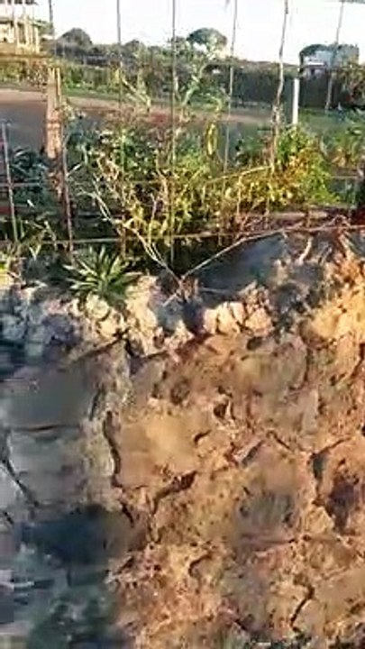 VID-20221030-WA0034