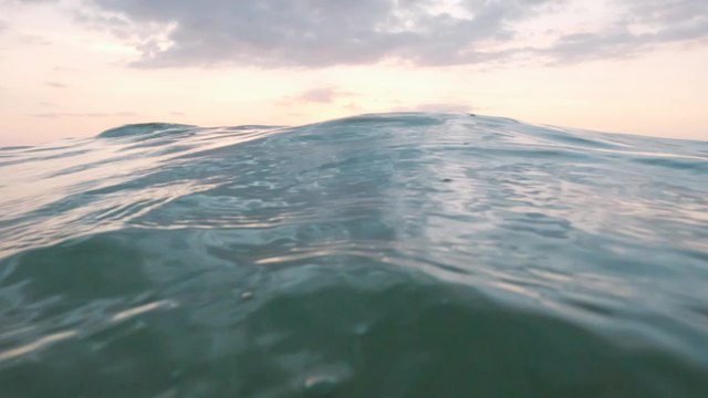 Cancer, Leo, Virgo: This is how you argue, based on your zodiac sign