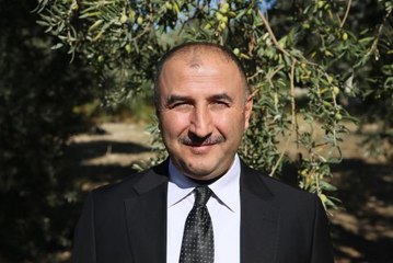 Hatay'da 270 bin ton zeytin rekoltesi bekleniyor