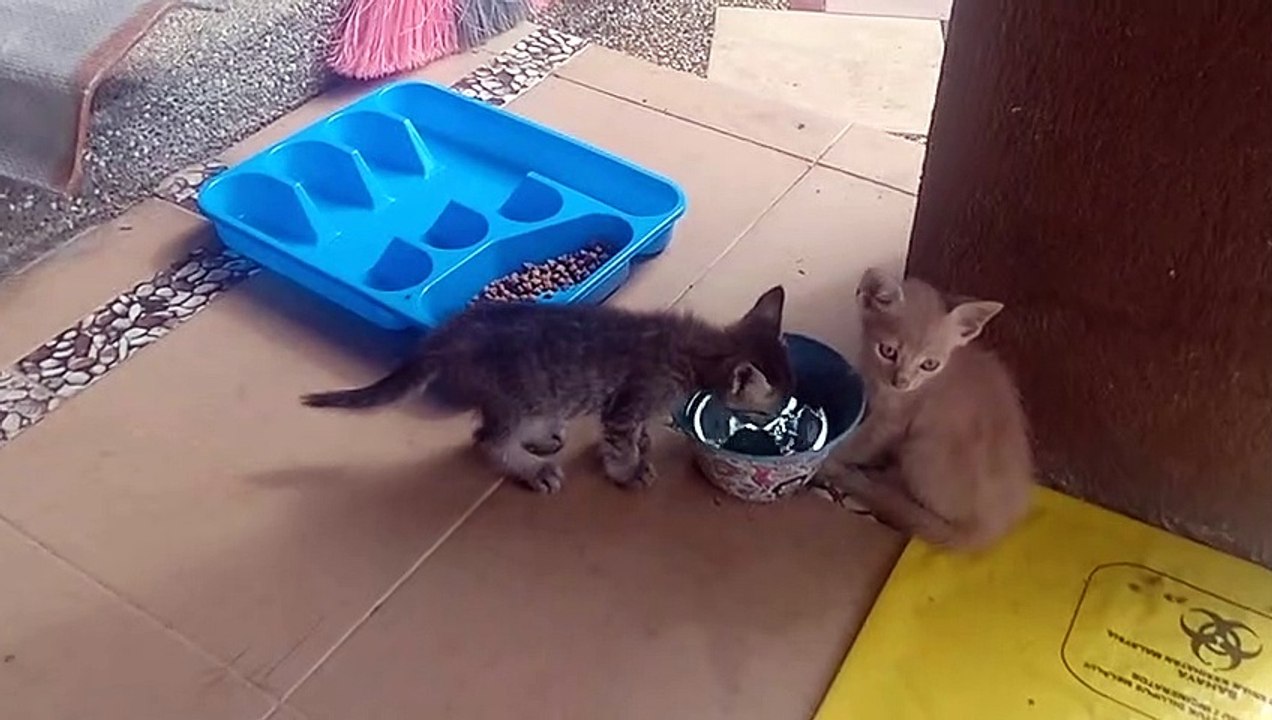 QUENCH THEIR THIRST!...