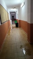 Goteras en el pabellón de la Escuela de Gimnasia