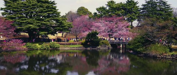 El nuevo spot de Andrés Iniesta con Navidul / NAVIDUL