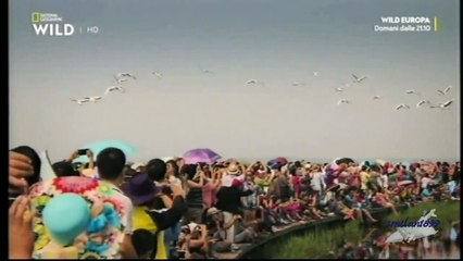 Amur il fiume proibito_ 02 Il drago nero