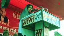 सपा नेता अखिलेश यादव की पत्नी डिंपल यादव ने कहा- मैनपुरी का चुनाव मेरा  नेताजी का चुनाव है