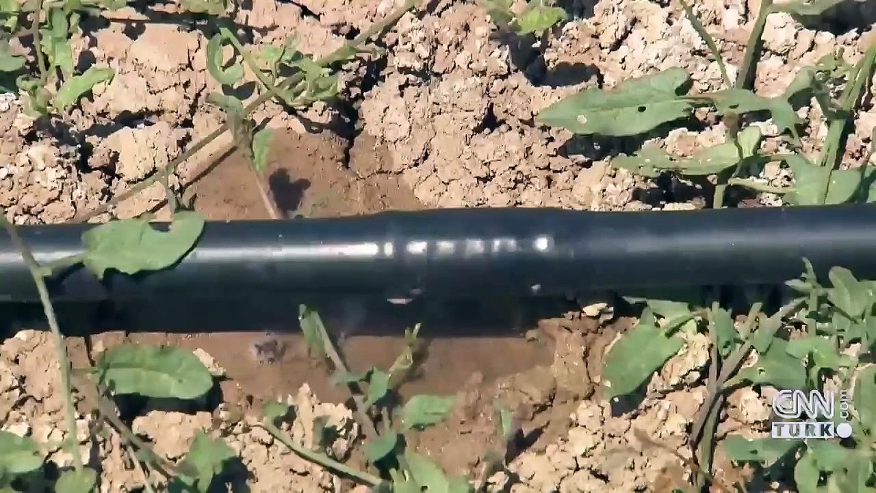 Tarımda az suyla yüksek gelir hedefi