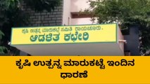 ರಾಯಚೂರು : ಸೋನಾ ಮಸೂರಿ ಭತ್ತದ ದರ ಮತ್ತೆ ಕುಸಿತ !