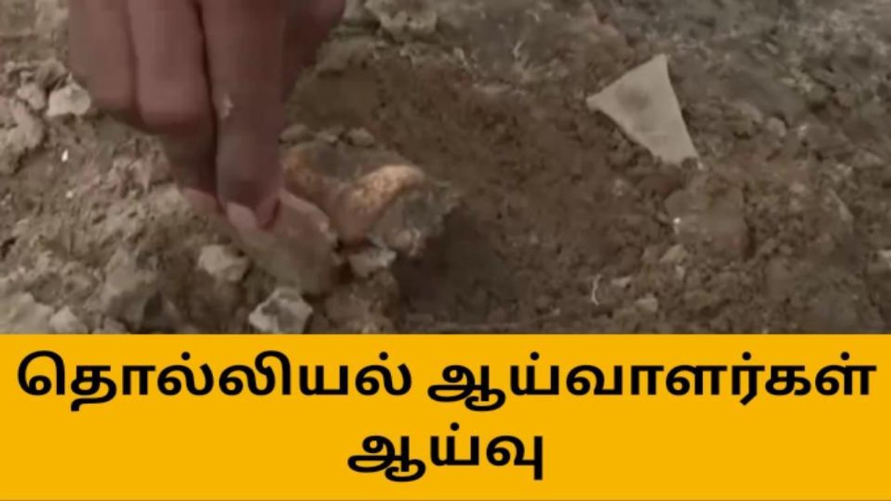 எலும்புக்கூடு கிடைத்த விவகாரத்தில் ஆய்வாளர்கள் ஆய்வு