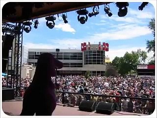 Barney's Sing Along Show Audio Only