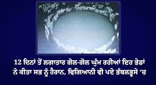 12 ਦਿਨਾਂ ਤੋਂ ਲਗਾਤਾਰ ਗੋਲ-ਗੋਲ ਘੁੰਮ ਰਹੀਆਂ ਇਹ ਭੇਡਾਂ ਨੇ ਕੀਤਾ ਸਭ ਨੂੰ ਹੈਰਾਨ, ਵਿਗਿਆਨੀ ਵੀ ਪਏ ਭੰਬਲਭੂਸੇ ‘ਚ