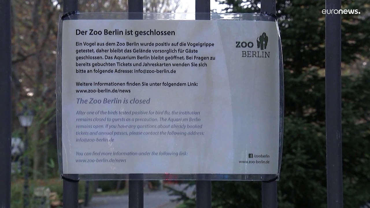 Nach Vogelgrippe-Fall: Zoo Berlin schließt auf unbestimmte Zeit