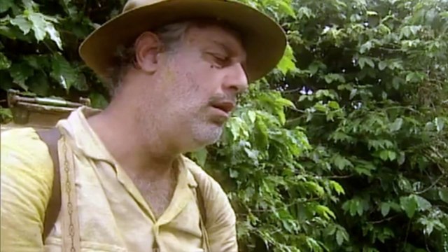 O REI DO GADO - Capítulo 9 Quinta Feira dia 17 de Novembro - Novela O Rei do Gado Resumo