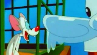 Animaniacs - S1E39 - Pinky And The Brain - Where Rodents Dare