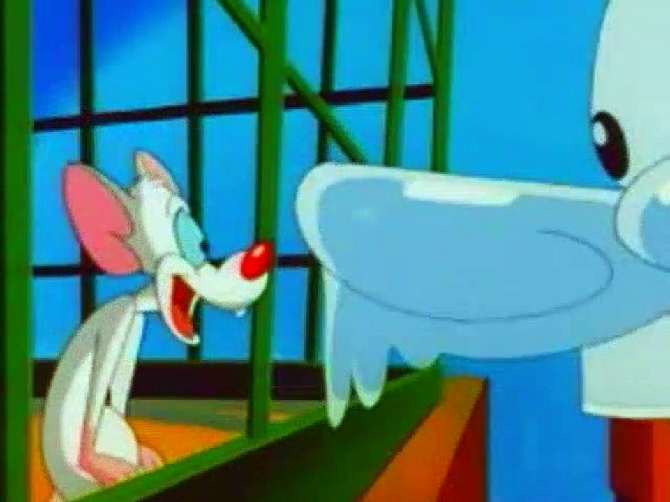 Animaniacs - S1E39 - Pinky And The Brain - Where Rodents Dare