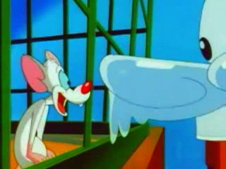 Animaniacs - S1E39 - Pinky And The Brain - Where Rodents Dare