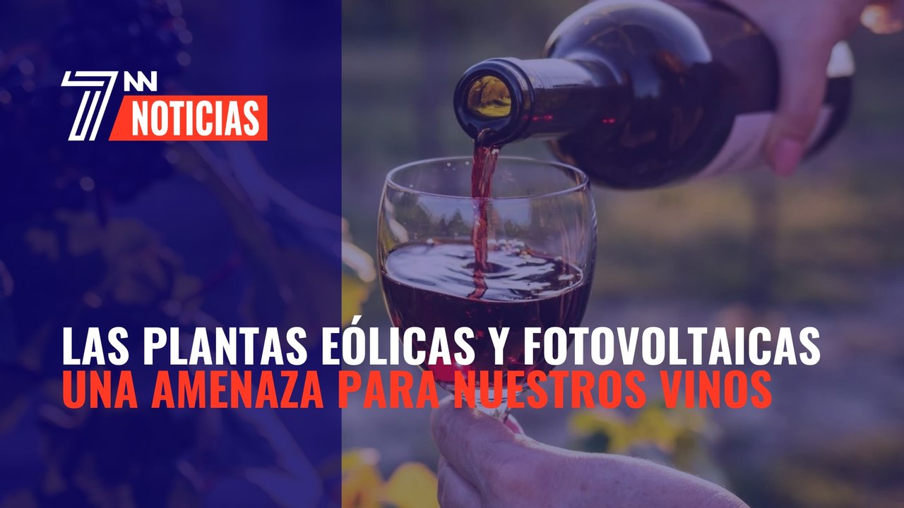 Las plantas eólicas y fotovoltaicas: una amenaza para nuestros vinos