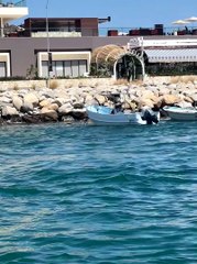 Sea Lion Enjoys a Boat Ride